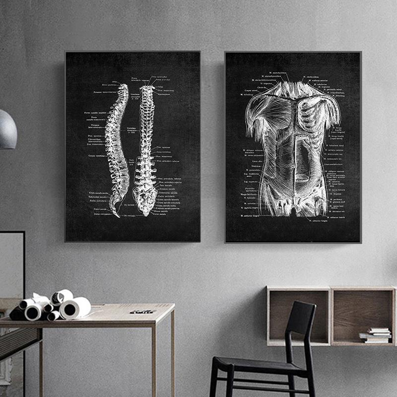 Human Anatomy Artwork Wall Picture Organ Muscle Skeleton Nordic Canvas Print Vintage Poster Art Painting Medical Clinic Decor