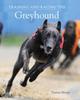 Книга Training and Racing the Greyhound