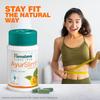 Himalaya Wellness AyurSlim Капсулы Упаковка 2 × 60 Штук Поддержка Контроля Веса для Взрослых