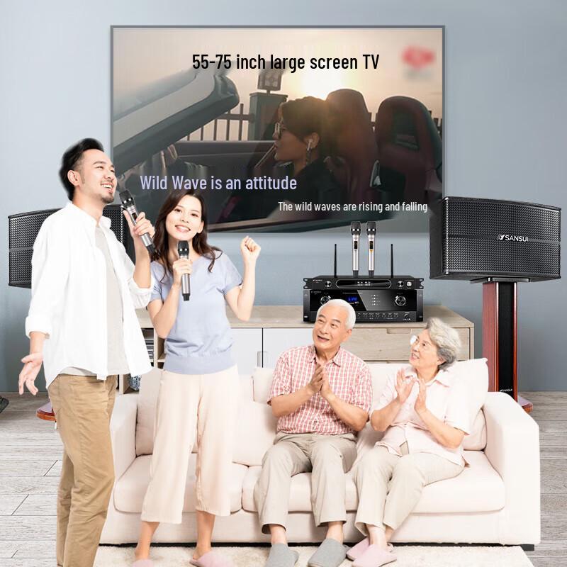 Sanshui KB3-06 Home KTV Audio System Set