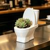 Small Jewelry Storage Box Toilet Shaped Flower Pot, 3D Printed Planter with Gifts for Gardening Enthusiasts Tank, Creative Plant Pot Desk And Bathroom