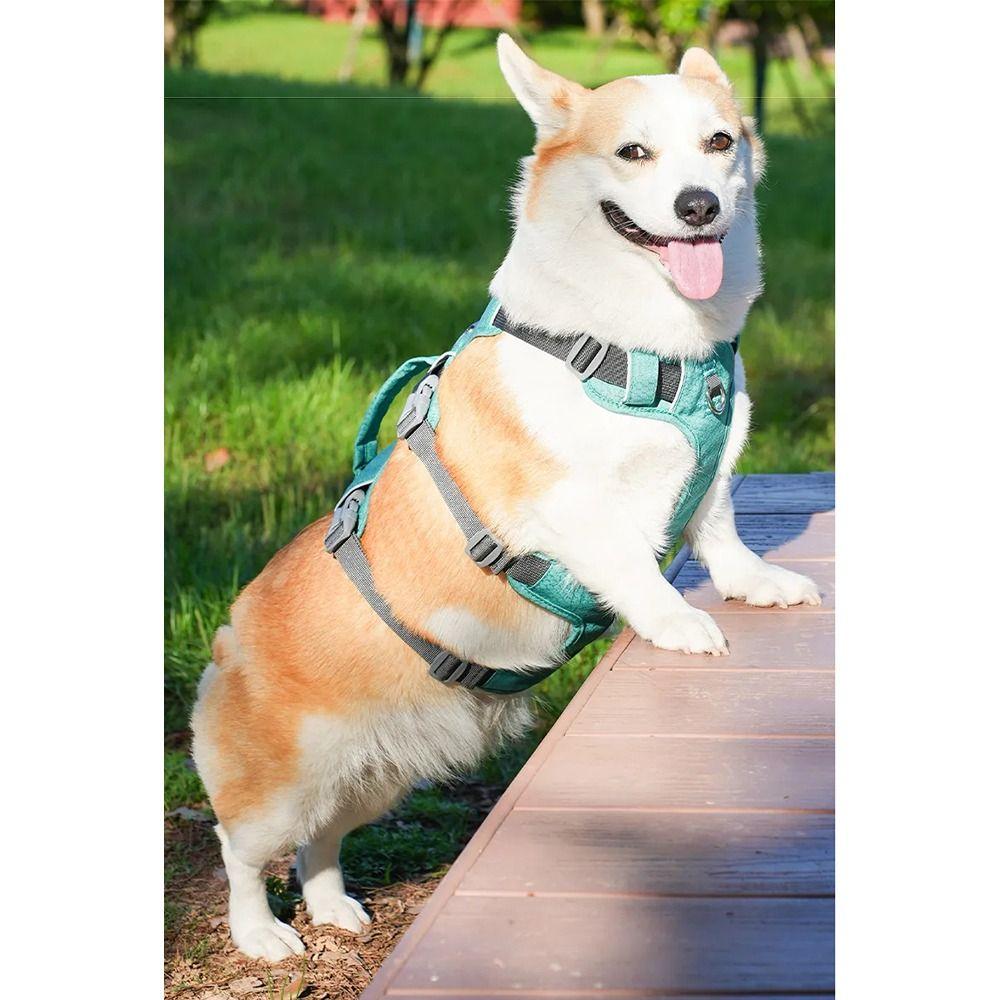 With Handle Reflective Pet Harness Adjustable Design Nylon Pet Vest Dog Harness Schnauzer Corgi