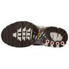 (WMNS) Nike Air Max Plus 'Mink Brown Baroque Brown Sail Metallic Silver' Женские DZ3671-200