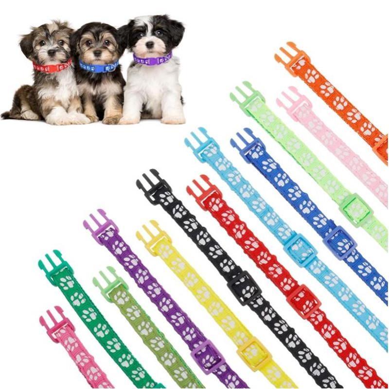 1 Piece of Small Dog and Cat Neck Collar -8-12 Inches, Detachable, Safe, and Reusable