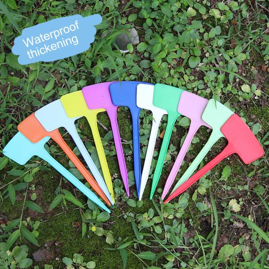 10 шт./компл. этикетки для растений, водонепроницаемые вставки, дизайн, однотонные Т-образные пластиковые бирки для растений для садоводства