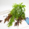 Elegant Eucalyptus Hanging Vine 75cm Fake Plants Artificial Eucalyptus Leaf Vine  Home Living Room