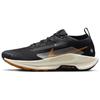 Мужские кроссовки Pegasus Trail 5 Gore-Tex Off Noir Black Monarch Pale Ivory FQ0908-007