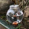 1/2/3 шт. Автоматическое устройство для просачивания воды, самополивающийся вкладыш для кашпо, дизайн с круглым шаром, регулятор влажности почвы, прозрачная лейка для растений