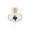Kamen Rider Ryuga Eau De Parfum 50ml