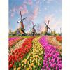 Рамка 5D алмазная живопись тюльпан ветряная мельница фотографии стразами пейзажная вышивка мозаичный декор для дома 30x40 см