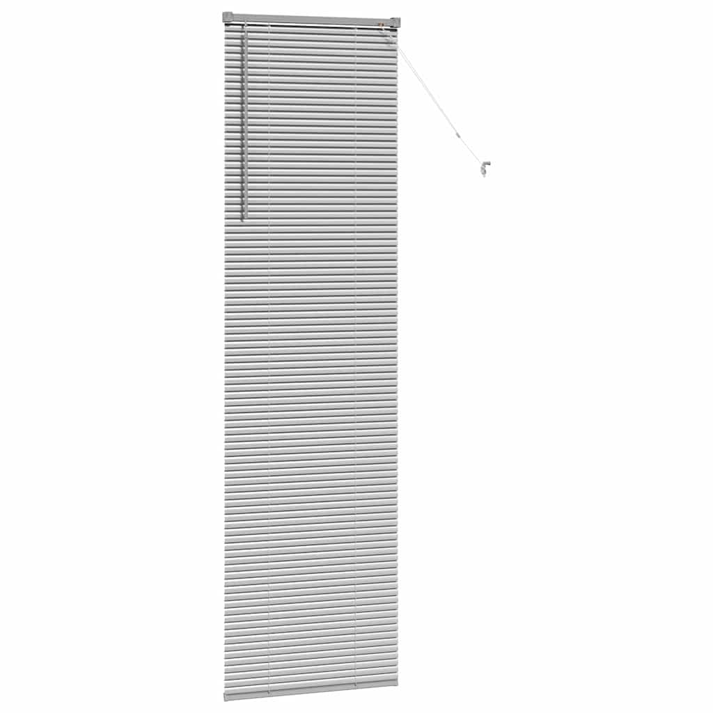 Aluminum Venetian Blinds Silver 220 x 55 cm