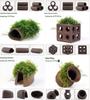 Aquatic Plant Moss Hideaway: Real Plant Jar for Fish & Shrimp