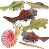7Pcs Sea Figurines Plastic Ancient Marine Animal Figures Realistic Parrot Screw Ammonite Dunn"s