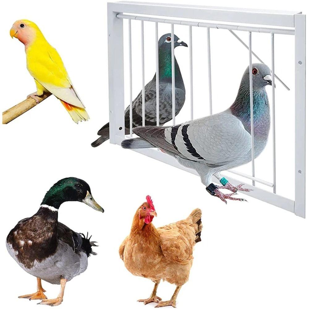 Single Entrance Pigeon Loft Door 30/40x26cm Trap Door Pigeon Entrance Door  Pigeon House