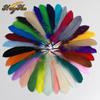 Colorful Dyed Large Goose Feathers for DIY Crafts, Handmade Decorations & Kindergarten Projects