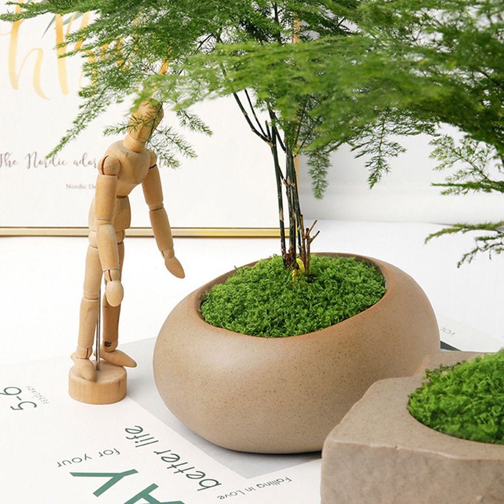 1 компл.. украшения, микропейзаж, имитация мха, цветов, мха, искусственная трава, искусственный зеленый мох