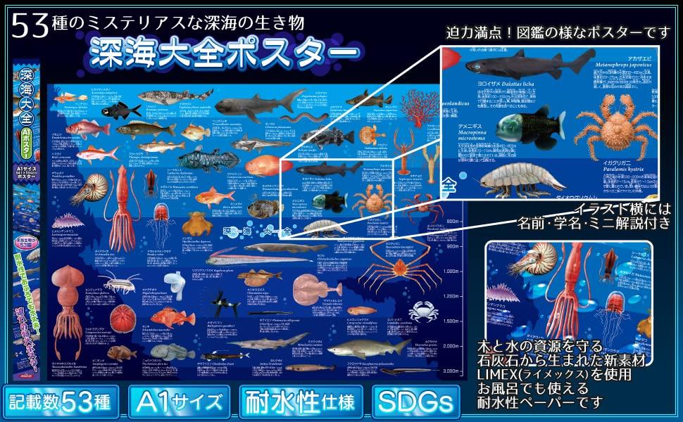 The Access Poster Deep Sea Encyclopedia A1 Animal Aquarium