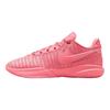 Nike LeBron 20 Pink Diamond Унисекс Кроссовки Розовый-Взгляд Металлик-Серебристый DJ5423-600