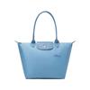 New Le Pliage Green Recycled Canvas With Leather Trim Dumpling Bag, One Shoulder Handbag Medium Size Women's Blue 2605919P58