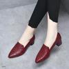 Middle Heel Spring and Autumn Embroidered Single Shoes Women's Deep Mouth Pointed Head Middle Heel Fashion Versatile Middle Heel Work Shoes Internet C