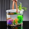 Transparent Aquaponic Fish Bowl Removable Plastic Hydroponic Fish Tank Goldfish Tank   Table