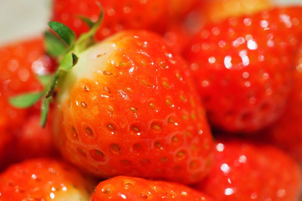 OM Micro Four Thirds Lens DIGITAL ED 30mm Macro SYSTEM/OLYMPUS M.ZUIKO F3.5