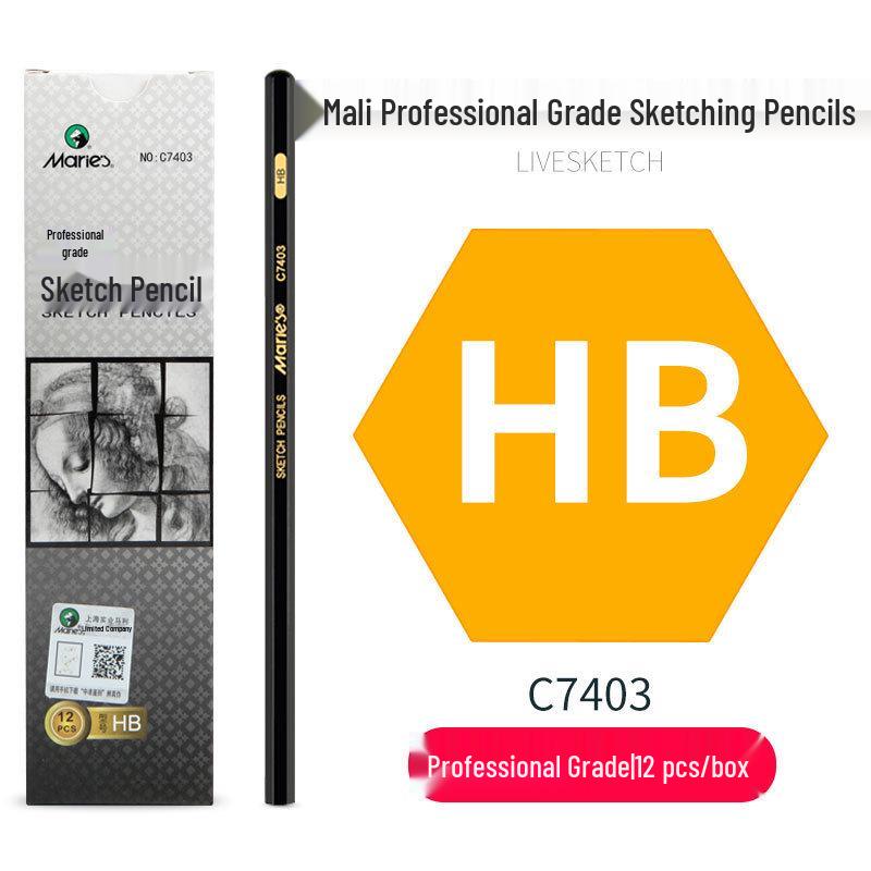 Mali Student Sketching & Drawing Pencil Set: Includes 2B, 4B, 14B soft, medium, hard, and charcoal pencils ideal for art exams.