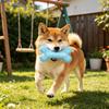 Игрушка-дозатор лакомств для собак Шипастая кость Игрушка для жевания собак Игрушка для чистки зубов собак для щенков Снятие беспокойства при прорезывании зубов