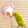 Colorful Beads Star Rotating Parrot Mirror Toy Mirror Parrot Interactive Toy  Bird Supplies