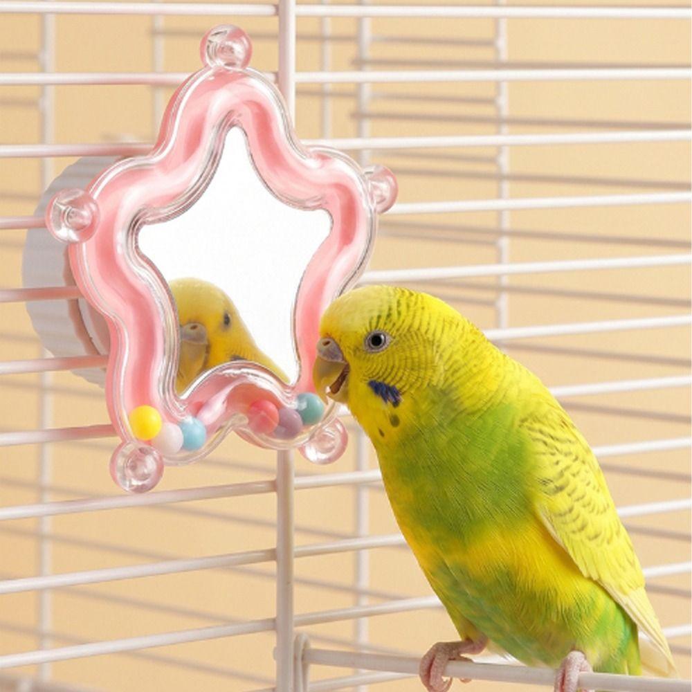 Colorful Beads Star Rotating Parrot Mirror Toy Mirror Parrot Interactive Toy Bird Supplies
