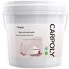 Carpoly Морозостойкая матовая краска для стекла с эффектом приватности на водной основе
