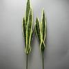 Artificial Snake Plant Agave Bonsai for Indoor & Outdoor Decor - Green Single Stem in Pot for Home or Office