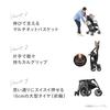 Combi E5 Series Hayabusa Stroller Type B [Babycal] Lightweight Type B Stroller for babies aged 7 to 48 months