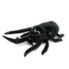 Ultra-realistic Caucasian Stag Beetle Vs. Giraffe Stag Beetle Plush Toy Approx. 60cm (Caucasian Stag Beetle)
