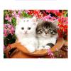 Complete Design 5D Diy Diamond Painting Couple Cat Round Rhinestone Picture Embroidery Animal Mosaic Cross Stitch Home Decoratio