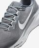 FD2722-009 Nike Pegasus 41 Cool Grey Wolf Grey Pure Platinum White (Men's)