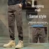 Мужские модные брендовые джоггеры 2025 Осень/Зима с плюшевой подкладкой - Свободные, Универсальные, Спортивные брюки в стиле кэжуал