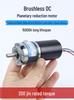 High Torque 12V/24V Brushless Planetary Gear Motor - Compact Variable Speed 3650 Model