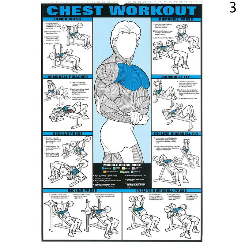 Спорт Фитнес Плакат Печать Тренировка Мышц Холст Картина Настенная Картина Для Тренажерного Зала Гостиная Украшения Дома