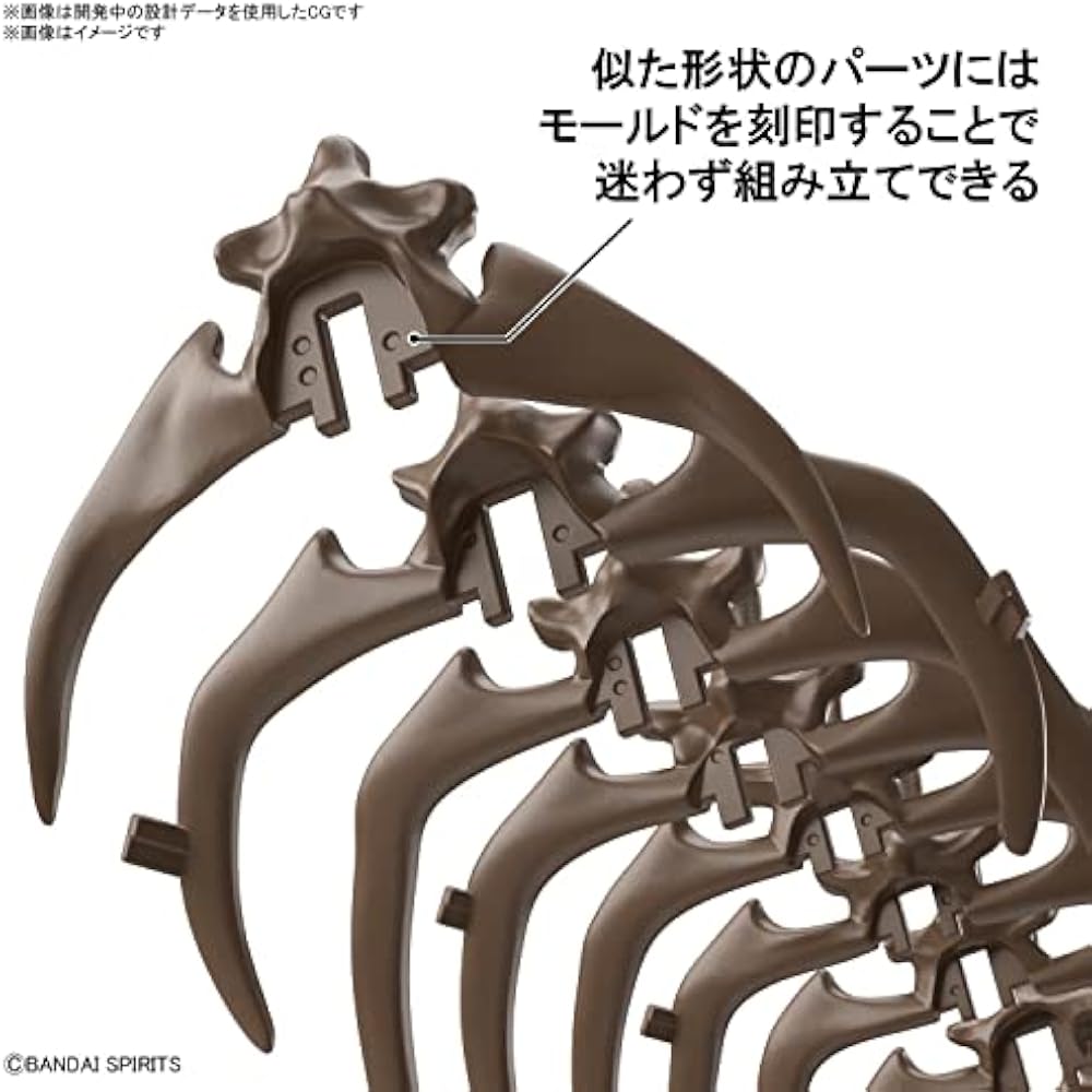 BANDAI SPIRITS (Bandai Spirits) Воображаемый скелет (Воображаемый скелет) Трицератопс масштаб 1/32 п...