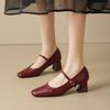 Fashion French Vintage High Heels 2025 New One Strap Single Shoes Women's Square Toe Block Heel Mary Jane Leather Shoes
