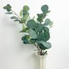 Simulation Green Plant Simulation Apple Leaf Branches, Eucalyptus Round Leaf Branches Home Decoration