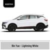 Ручка-подкраска Geely Binyue - Confident White & Sincere Red для ремонта царапин