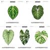 Acrylic Leaf Shape Coaster Heat Insulation Pad Home Decorative Placemat Table Cup Mat Desk Accessories Anti-scald Coffee Mat