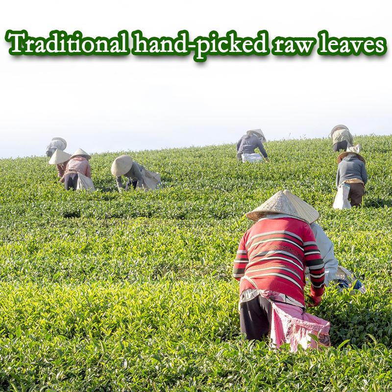 Jin Xuan Milk Oolong Tea Taiwaness Loose Leaf Taiwan High Mountain Tea Delicate 250g