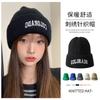 Wool Hat Men's Autumn and Winter Tide Brand Versatile Big Head Circumference Warm Ear Protection Knitted Hat Embroidery Letter Cold Hat