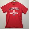 Винтажная футболка Университета штата Огайо Buckeyes 2007 Чемпионы Big Ten Красная Средняя