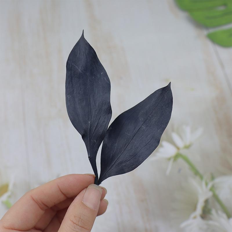 DIY Floral Art Ornament: Preserved Tangerine & Fishtail Leaf, Lily, Bamboo Dried Flowers – Ikebana Photo Prop for Home Décor.