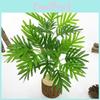 Adiantum Capillus Artificial Veneris Plant Ecofriendly Coating Home Decoration