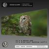HYBXAXC Cute Animal Owl Gaming Mouse Pad Rubber Mousepad Cs Go Computer Laptop Mice Mat Anti-slip Anime Art Carpet Home MouseMat